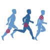 logo Dr Philippe Loriaut