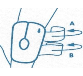 schema-genou-2