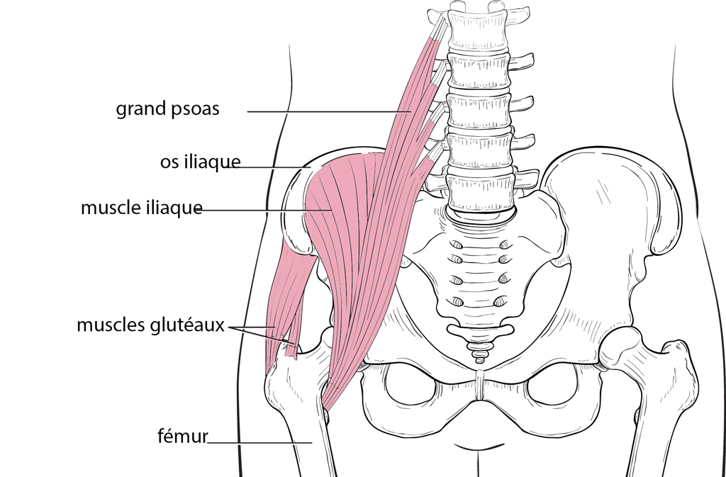 Hanche Dr Philippe LORIAUT Chirurgien Orthopédiste Paris