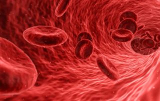 plasma riche en plaquettes
