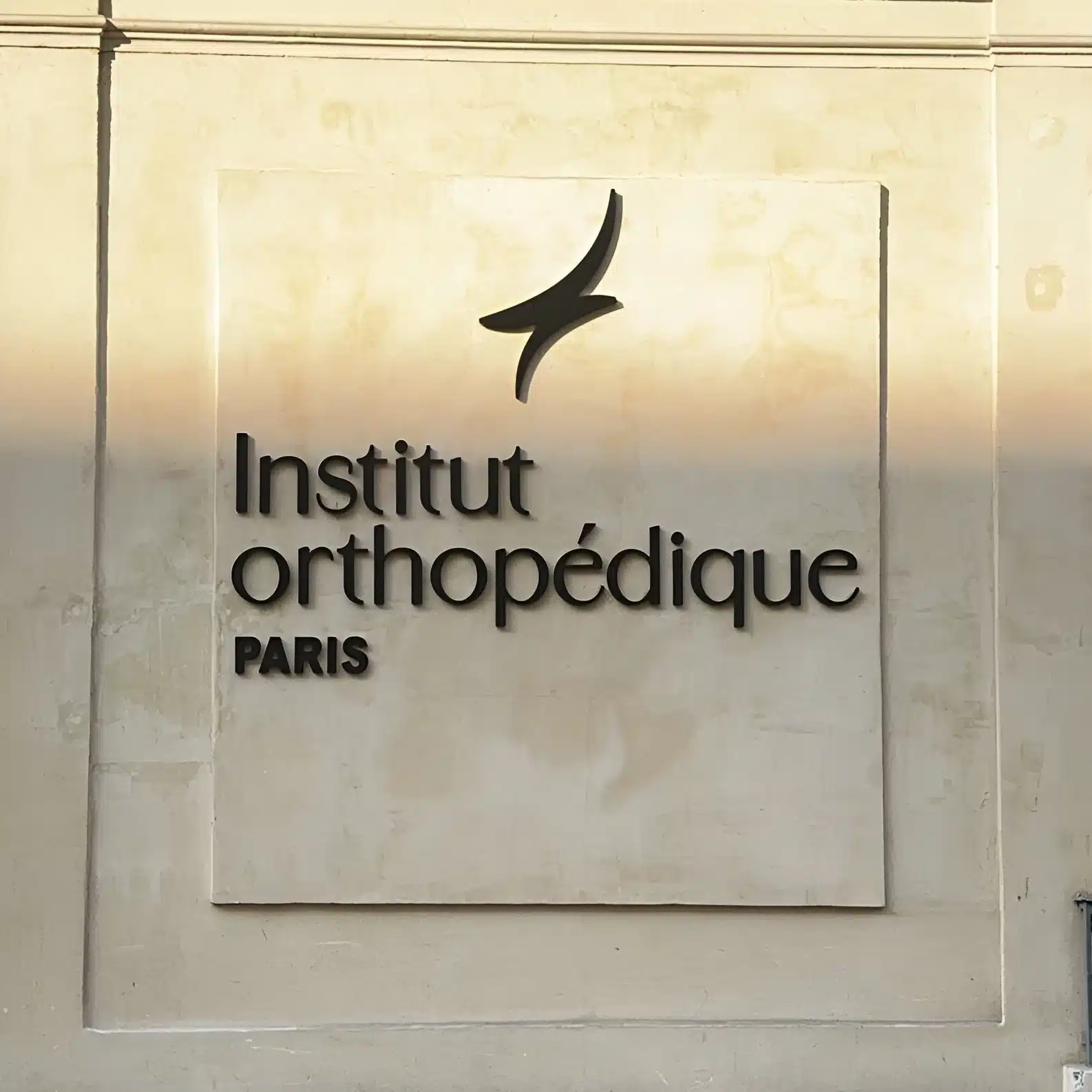 Cabinet Dr Philippe Loriaut | Institut Orthopédique Paris Cabinet du Dr Philippe Loriaut | Institut Orthopédique Paris